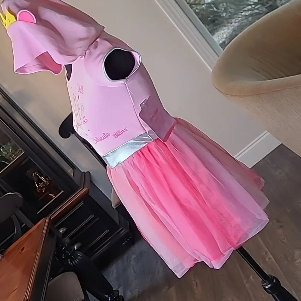 NWT Love Diana Pink Hooded Dress
